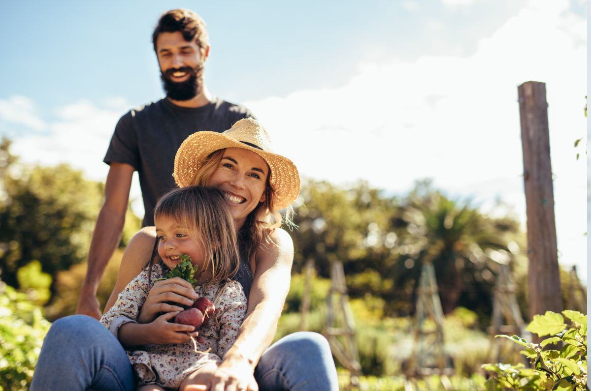 Unveiling the Secrets of eQRP: Maximizing Wealth and Retirement Potential