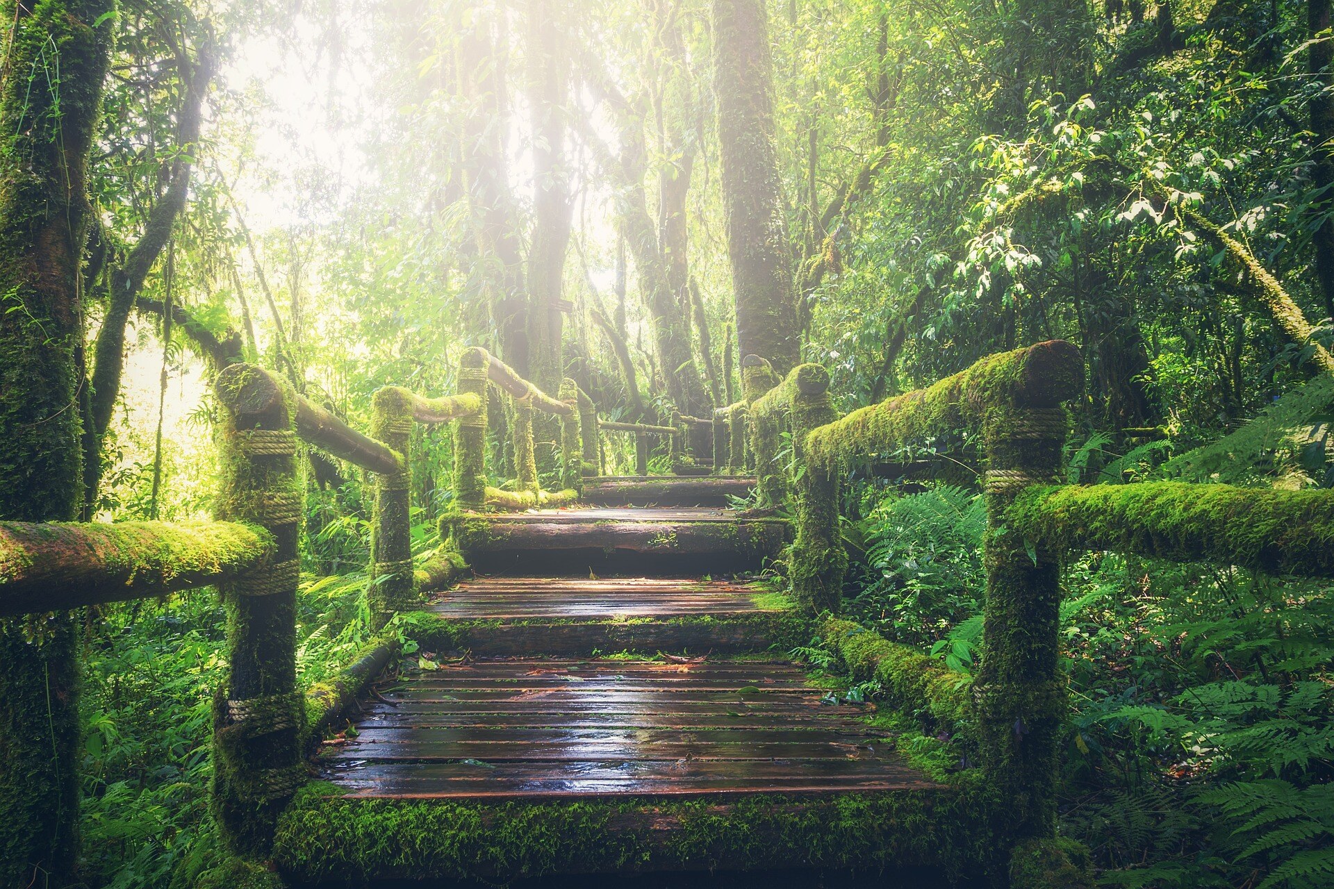 Change Your Environment, Change Your Behavior